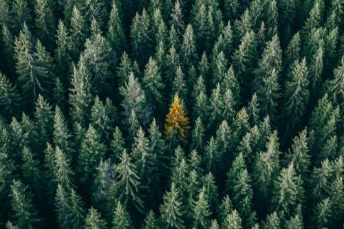 Freelance writer customer experience